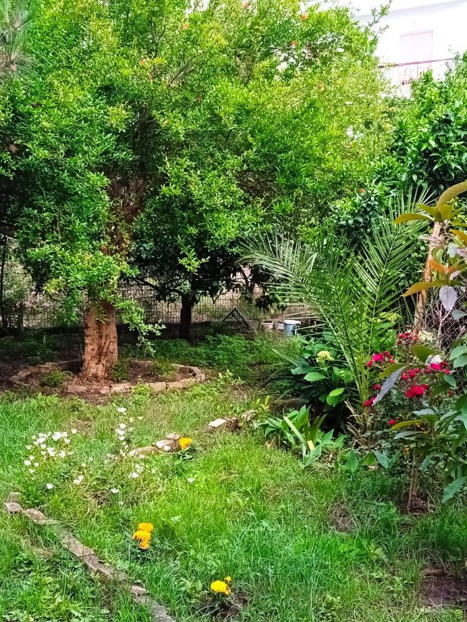 La Nonna Daire Preveze Dış mekan fotoğraf